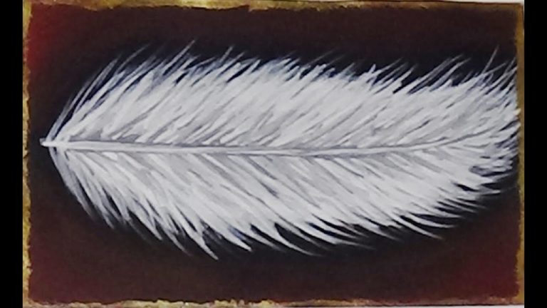 How To Paint Feather