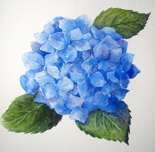 How To Paint Hydrangeas