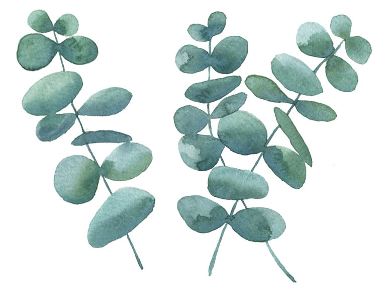 How To Paint Eucalyptus Leaves