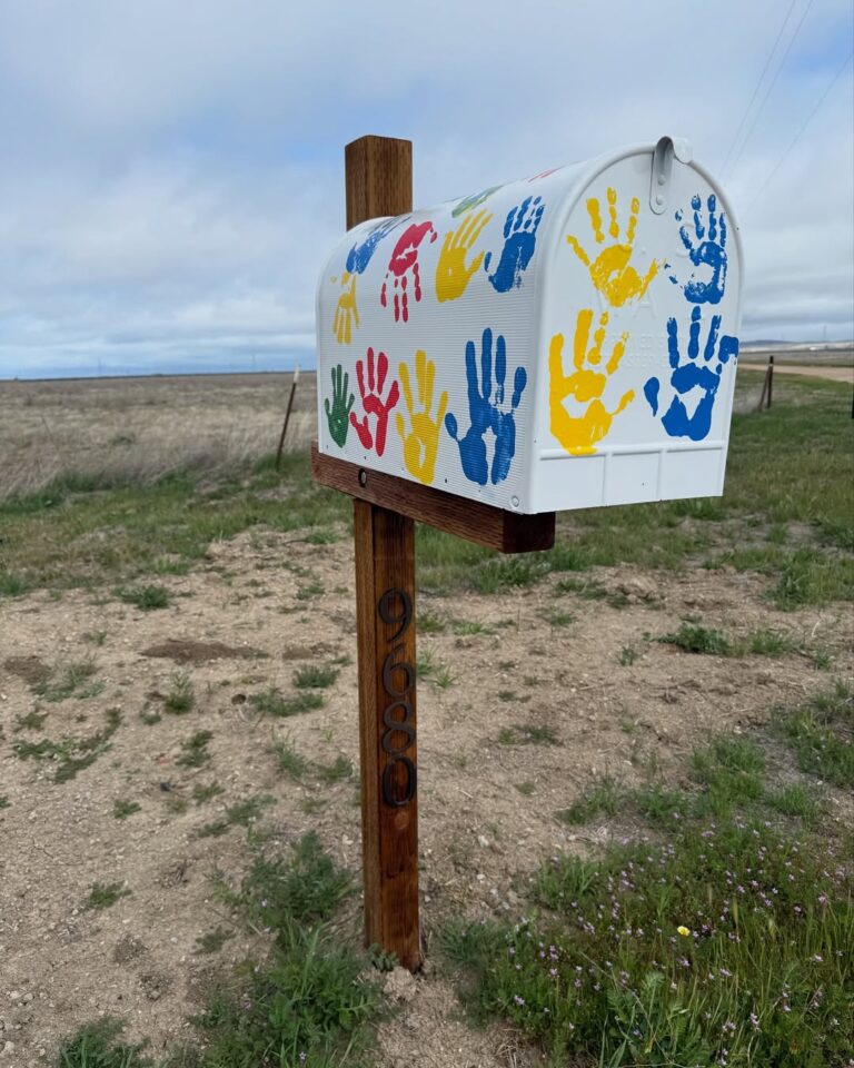 25+ Creative Mailbox Decor Ideas That’ll Instantly Boost Curb Appeal