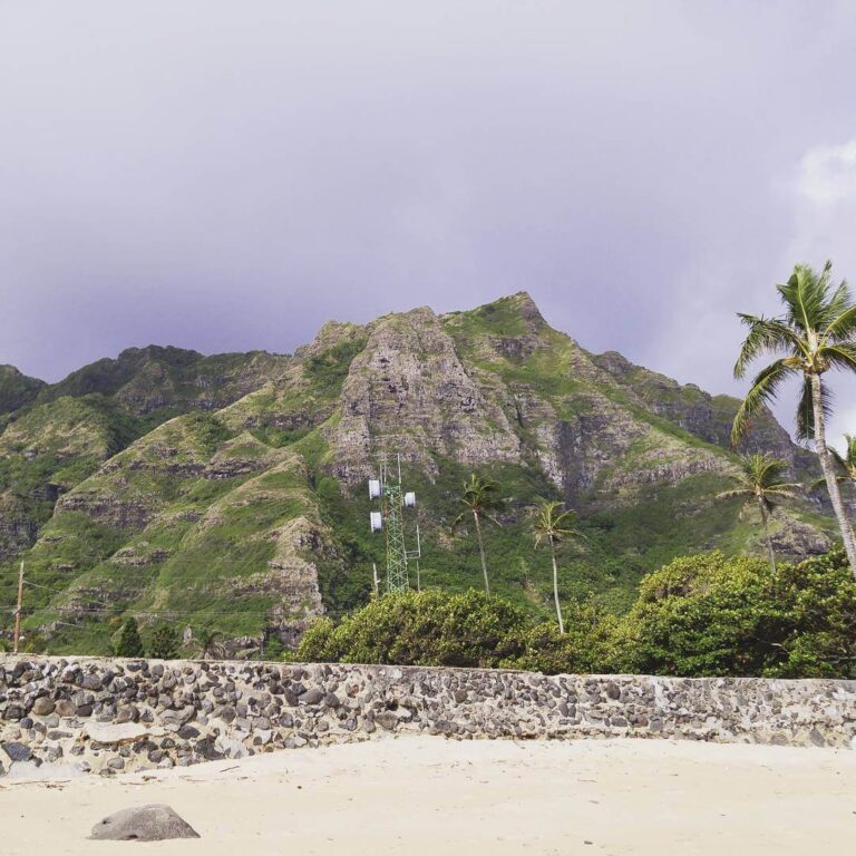 Hawaiian Landscaping Ideas to Transform Your Yard into a Tropical Oasis