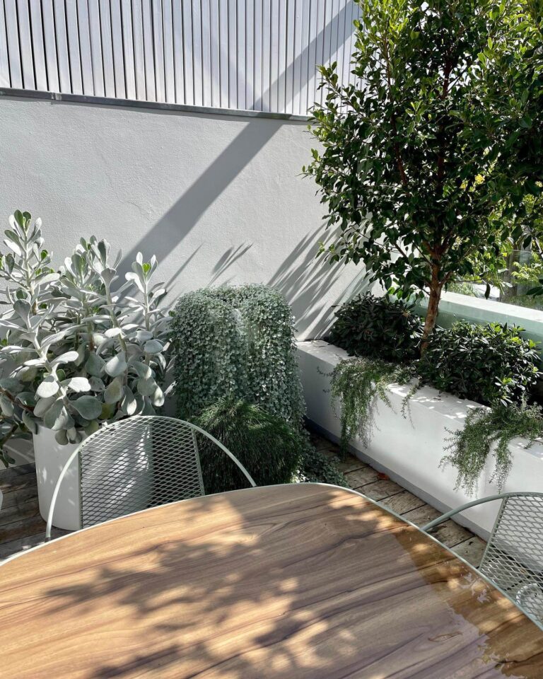 Sky-High Serenity: Rooftop Garden Ideas to Turn Your Urban Space into a Lush Oasis