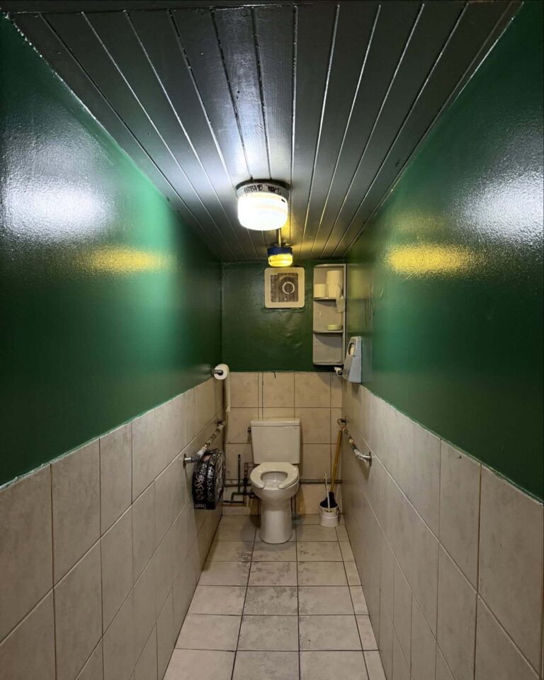 Genius Long and Narrow Bathroom Ideas to Maximize Style, Storage, and Flow