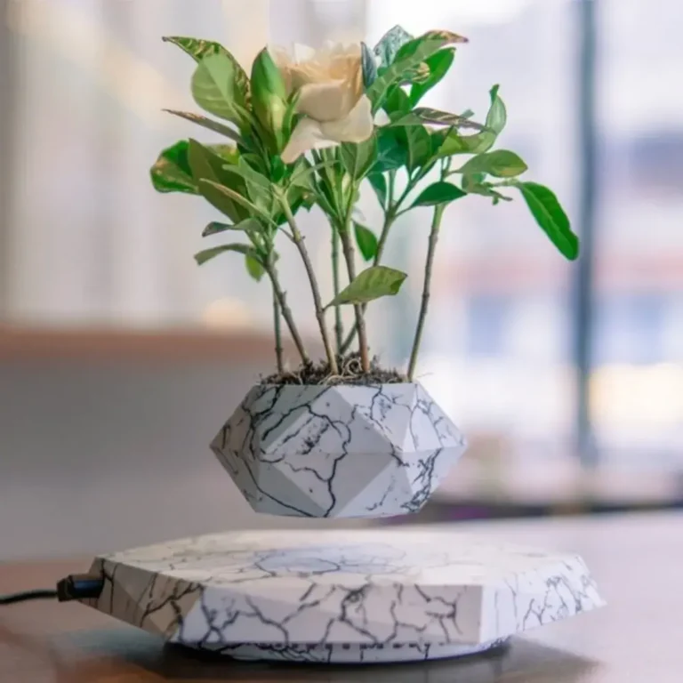 Creative Planter Ideas That Instantly Elevate Your Home & Garden (No Green Thumb Required)