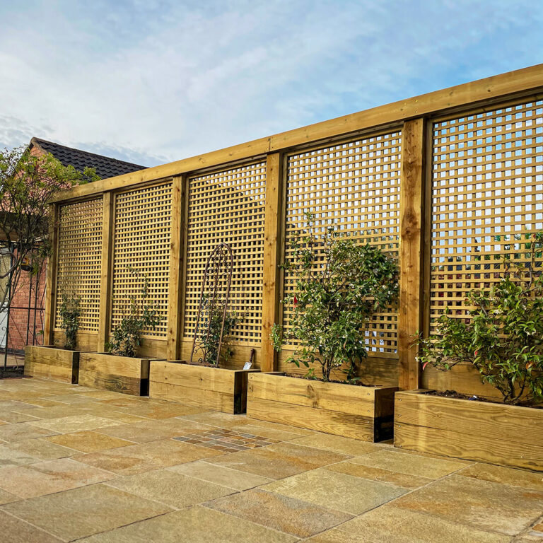 Genius Fence Trellis Ideas for Privacy, Climbing Vines, and Instant Curb Appeal