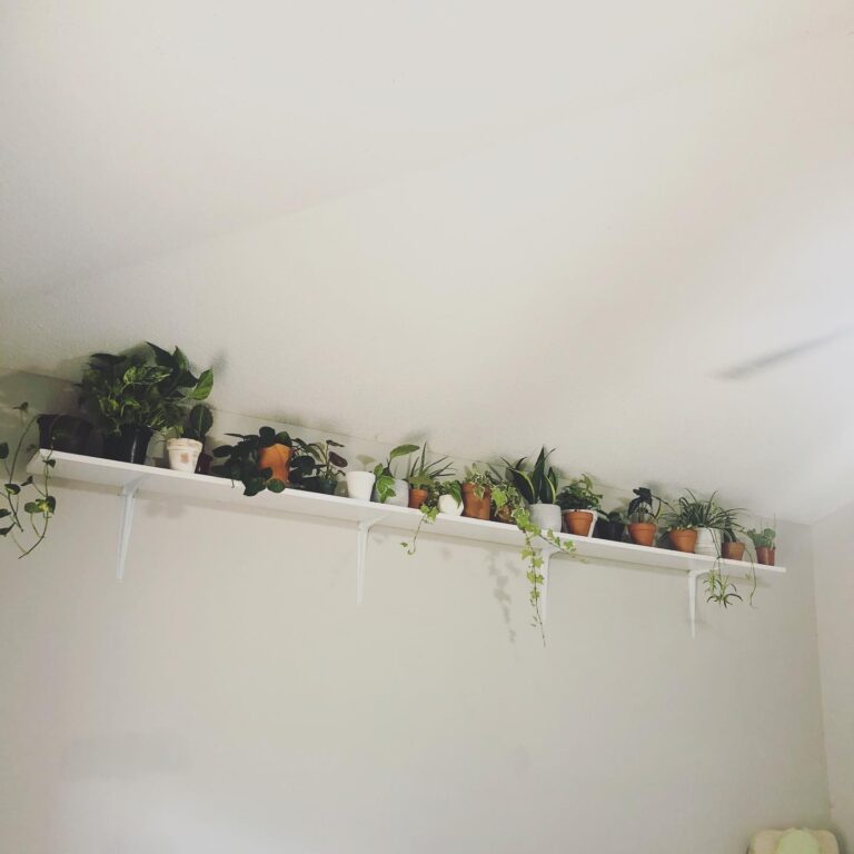 Genius Bedroom Plant Ideas to Instantly Calm Your Space and Boost Better Sleep