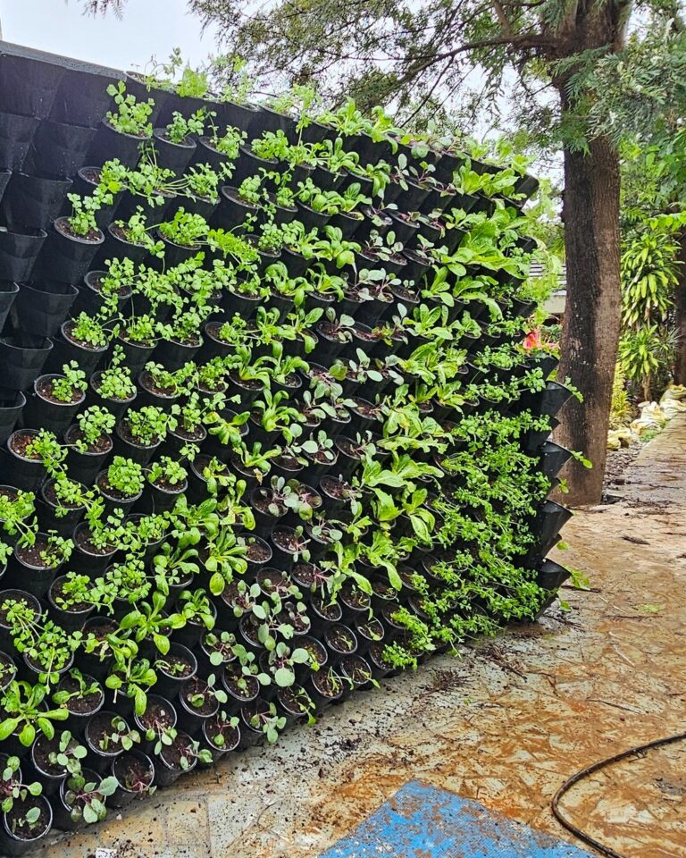 Genius Vertical Pocket Planter Ideas to Turn Bare Walls into Lush, Space-Saving Gardens