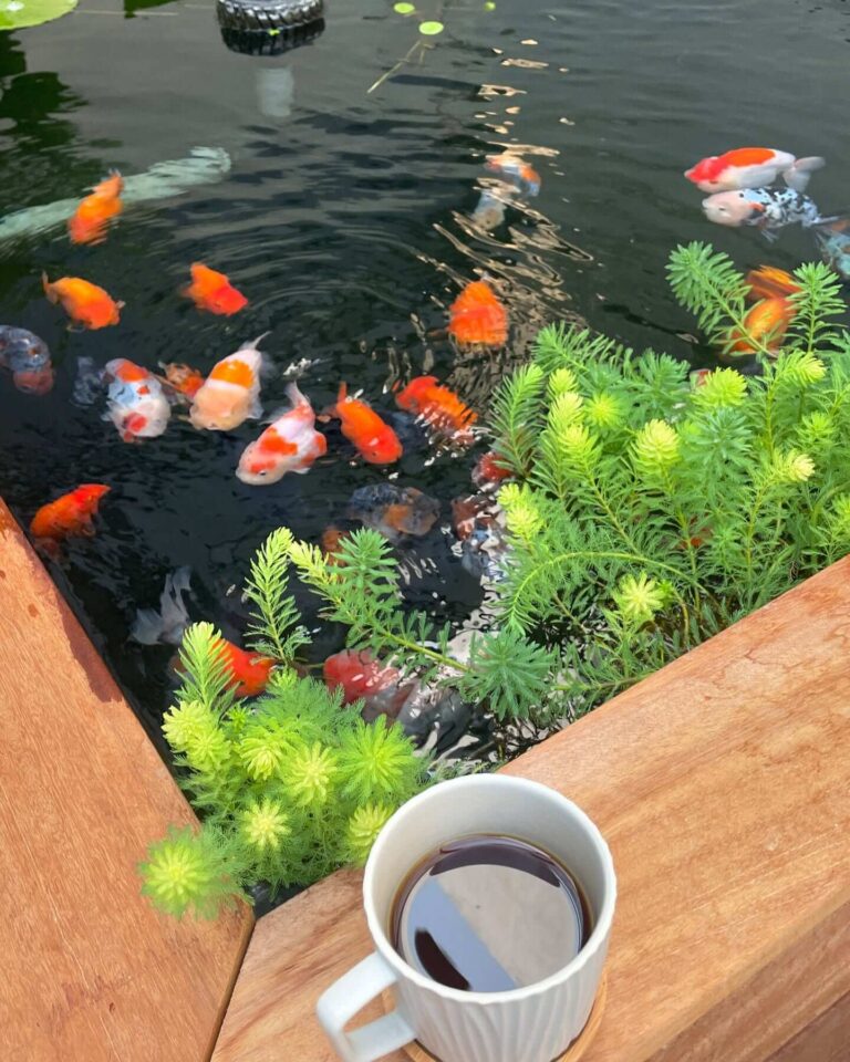 DIY Backyard Pond Ideas That Turn Any Yard into a Serene Water Oasis ...