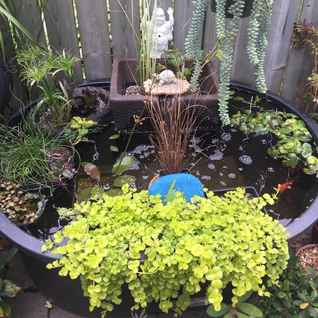 DIY Backyard Pond Ideas That Turn Any Yard into a Serene Water Oasis ...